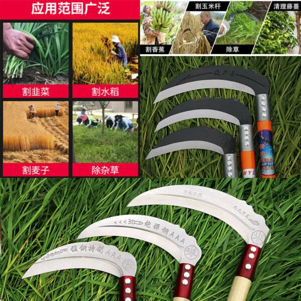 mh-MH-1103-1-g02