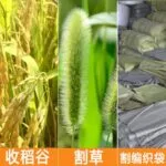 mh-MH-1103-2-g03-1