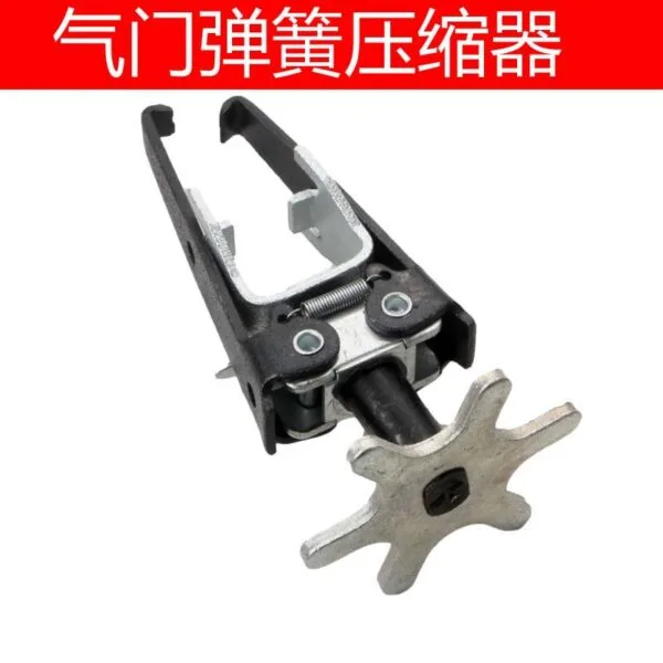 mh-MH-147-28-g01
