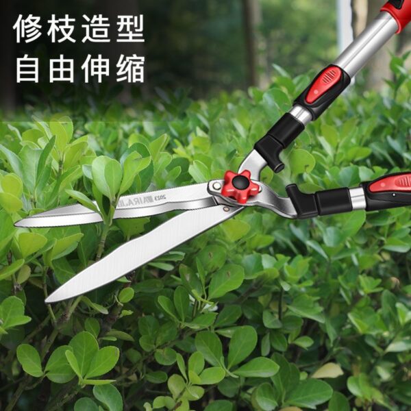 mh-MH-1086-2-g01