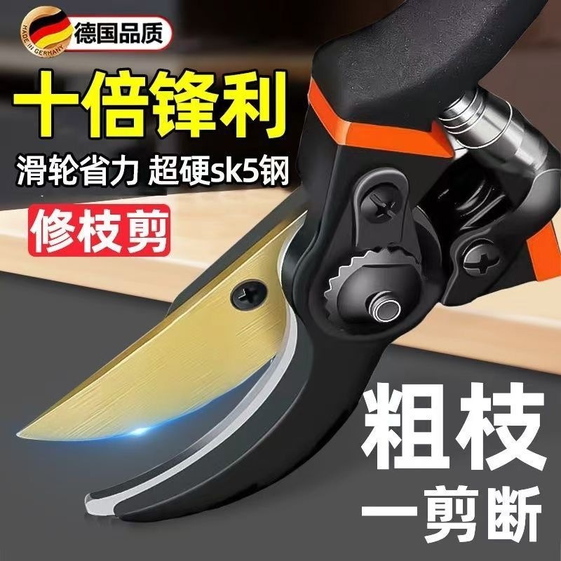 mh-MH-1084-31-g01 mh-MH-1084-31-g01