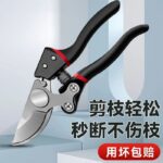 mh-MH-1084-31-m02