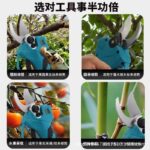 mh-MH-1084-5-g02