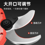 mh-MH-1084-9-g02