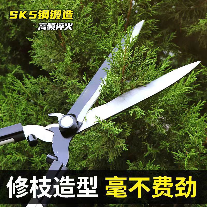 mh-MH-1086-20-g01 mh-MH-1086-20-g01