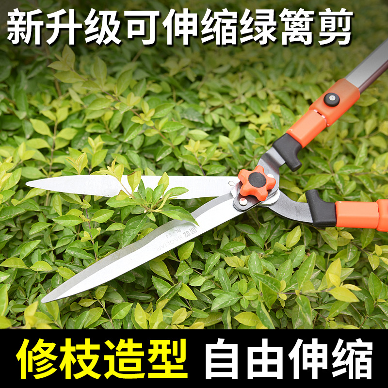 mh-MH-1086-29-g01 mh-MH-1086-29-g01