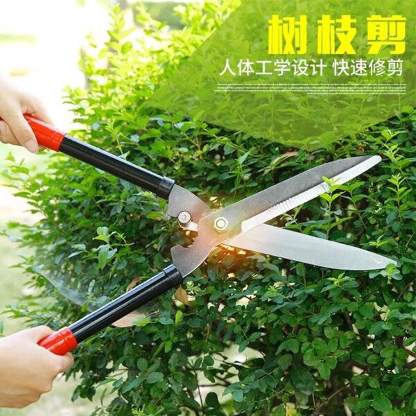 mh-MH-1086-9-g01