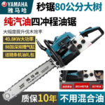 mh-MH-1088-31-g02