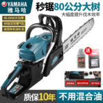 mh-MH-1088-31-g03