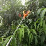 mh-MH-1091-24-g03