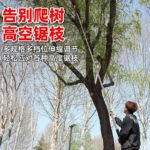 mh-MH-1092-24-g02