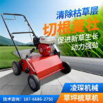 mh-MH-1096-9-g01