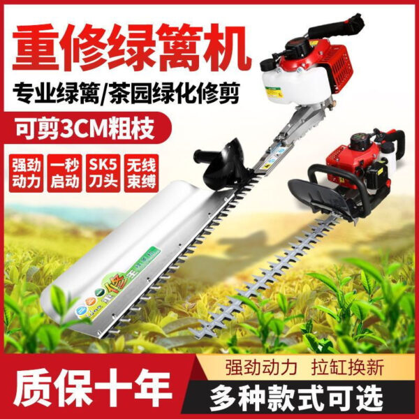 mh-MH-1097-10-g01