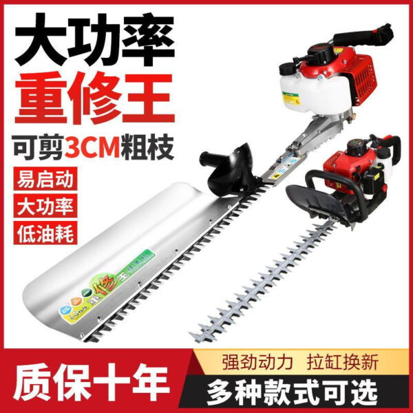 mh-MH-1097-10-g02