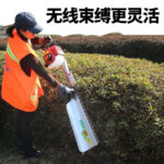 mh-MH-1097-10-g04