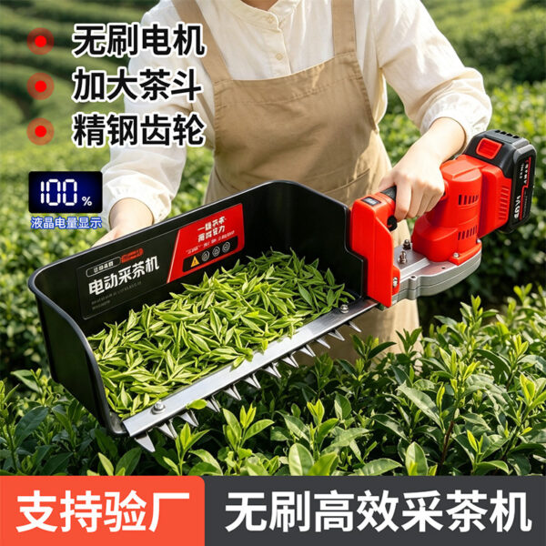 mh-MH-1097-12-g01