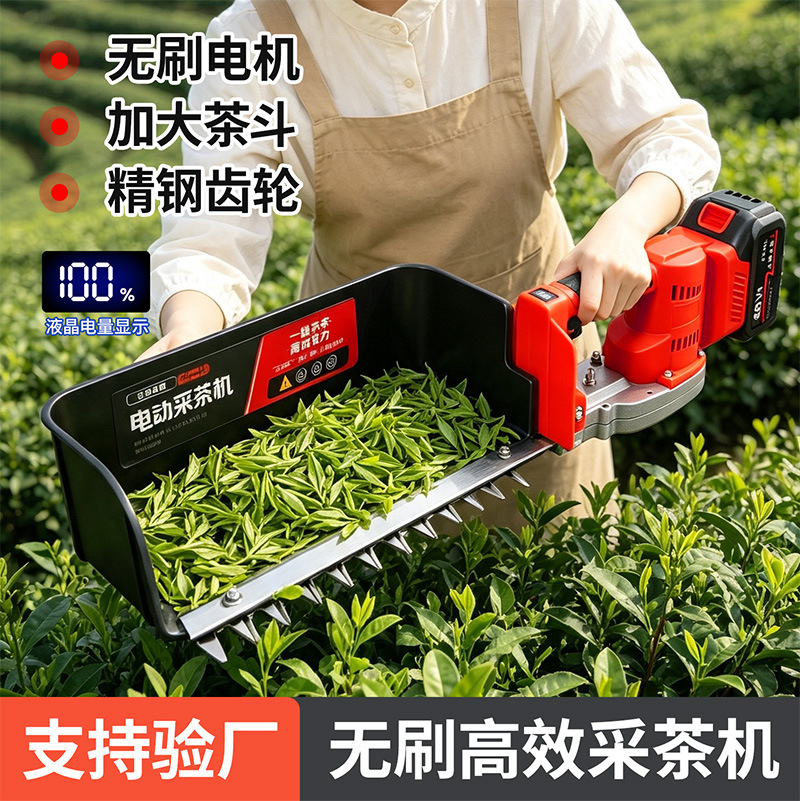 mh-MH-1097-12-g01 mh-MH-1097-12-g01