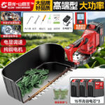 mh-MH-1097-17-m06