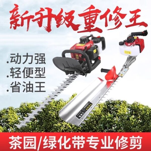 mh-MH-1097-29-g02