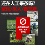 mh-MH-1097-32-g02