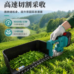 mh-MH-1097-4-g02