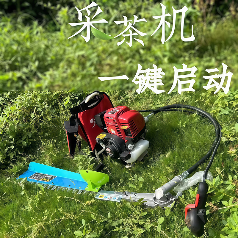 mh-MH-1097-8-g01 mh-MH-1097-8-g01