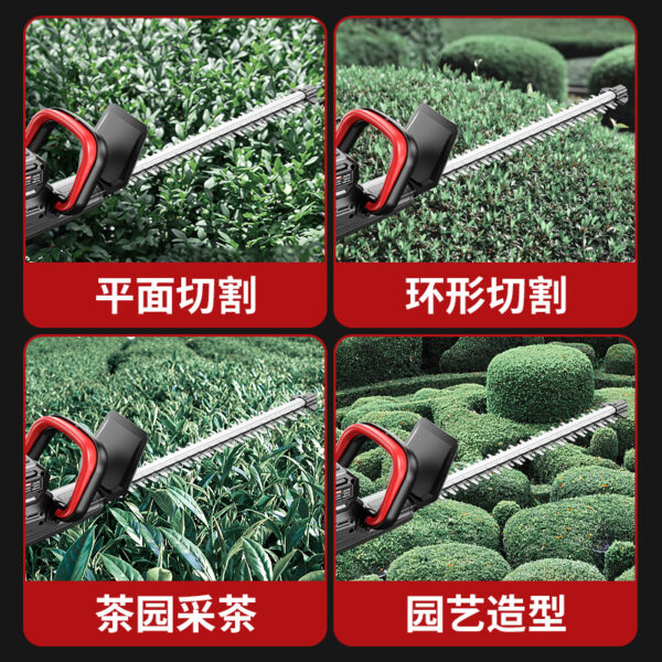 mh-MH-1097-9-g02