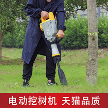 mh-MH-1098-9-g02