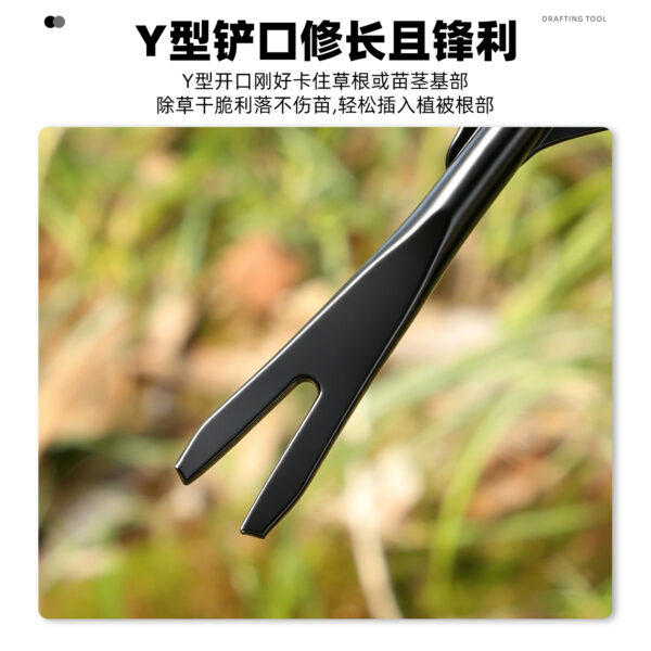 mh-MH-1099-9-g02