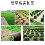 mh-MH-1100-18-g03
