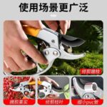 mh-MH-189-10-g03