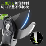 mh-MH-189-12-g02