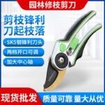 mh-MH-189-13-g01