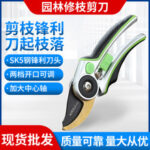 mh-MH-189-13-g02