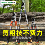 mh-MH-189-19-g01