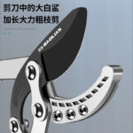 mh-MH-189-19-g02