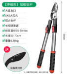 mh-MH-189-19-m03