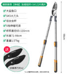 mh-MH-189-19-m06