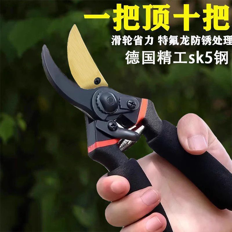 mh-MH-189-20-g01 mh-MH-189-20-g01