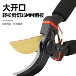 mh-MH-189-20-g04