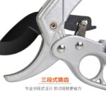 mh-MH-189-24-g02