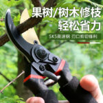 mh-MH-189-26-g01