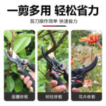 mh-MH-189-26-g02