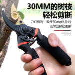 mh-MH-189-26-g03