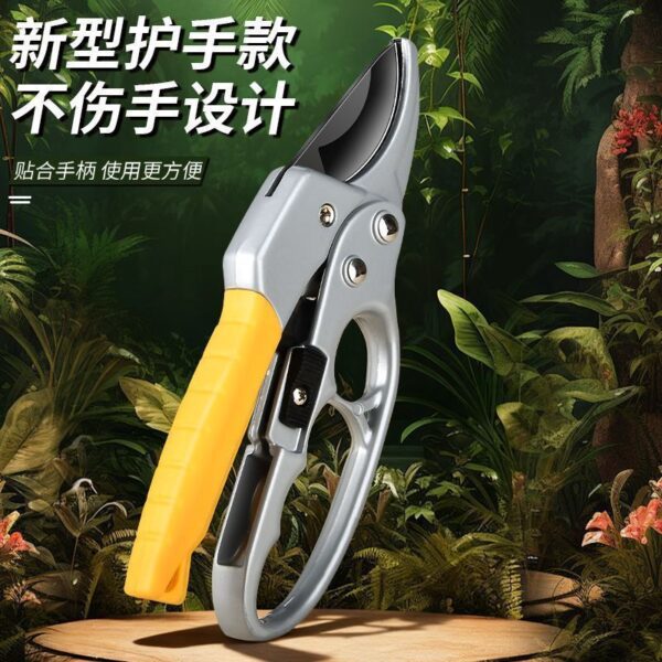 mh-MH-189-4-g02