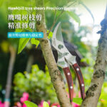 mh-MH-189-6-g04