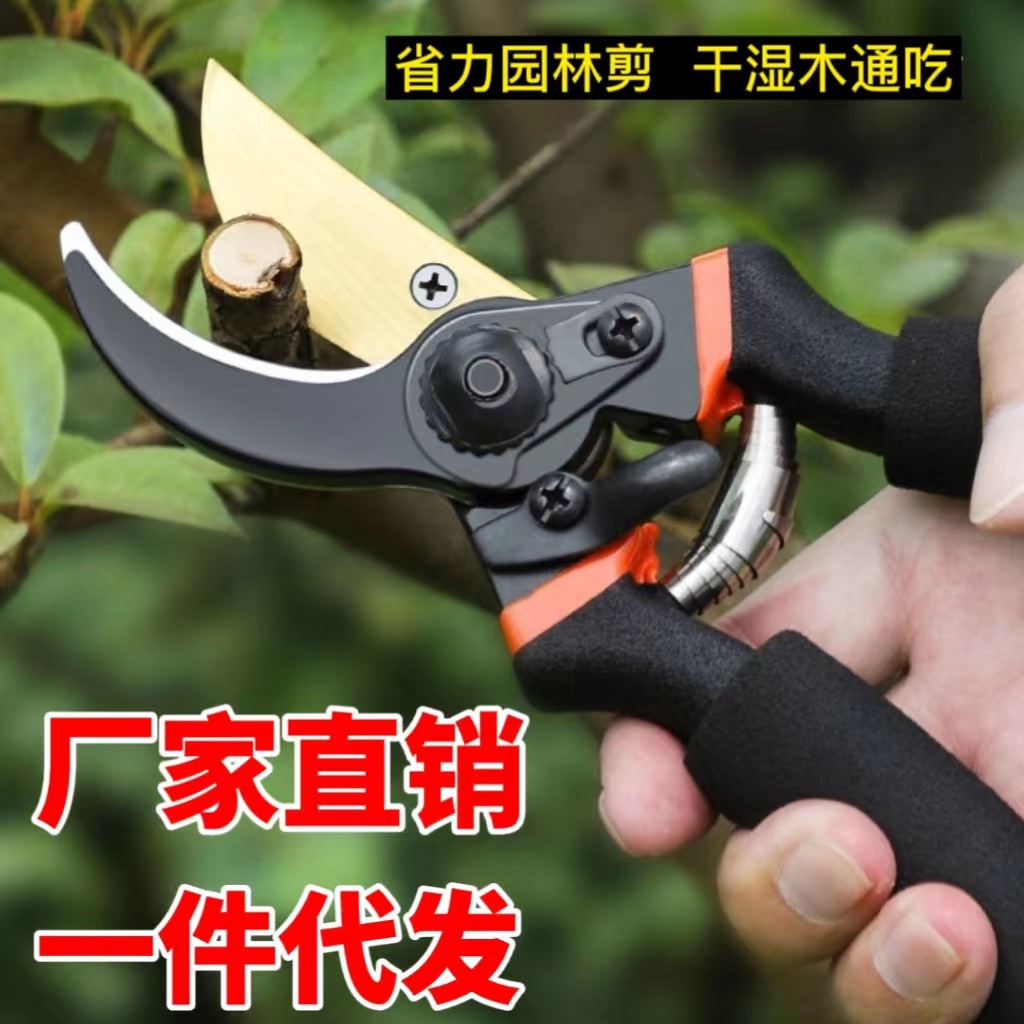 mh-MH-189-9-g01 mh-MH-189-9-g01